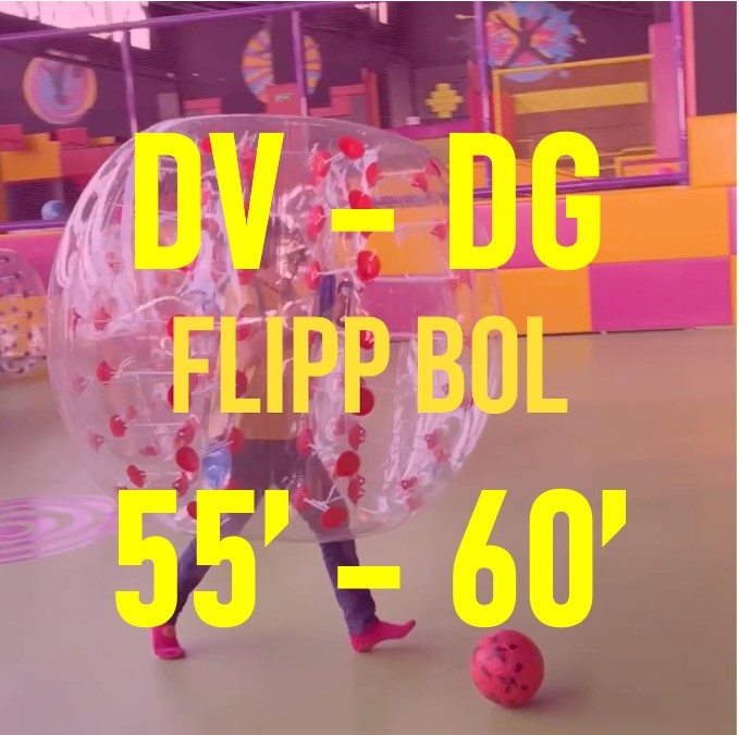 7.4.-FLIPPBOL ( DV-DG + FESTIUS) 55'-60'