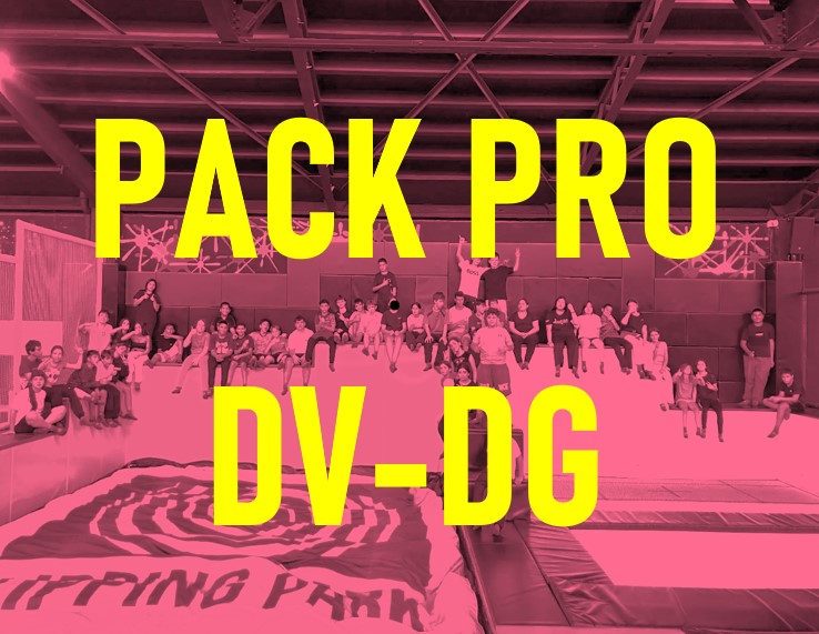 4.1.- FESTA ANIVERSARI PRO DV-DG I FESTIUS